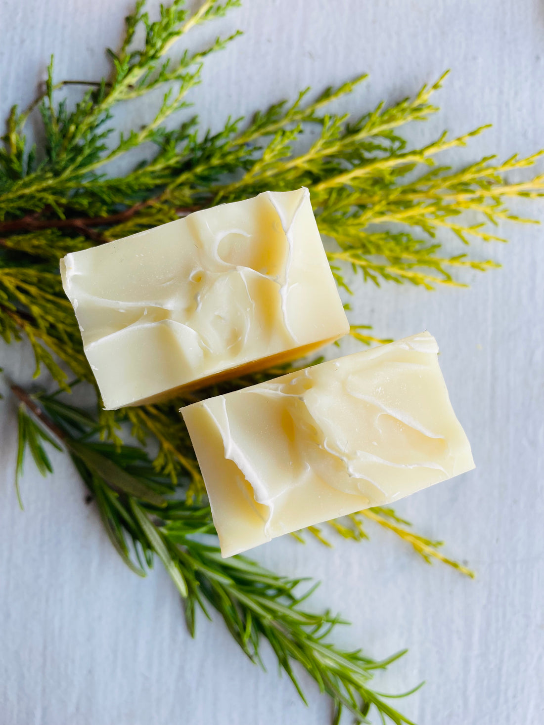 rosemary juniper shampoo bar